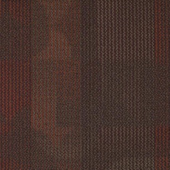 Intrigue Carpet Tile - Sunbaked