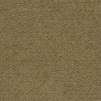 Solid - Canvas