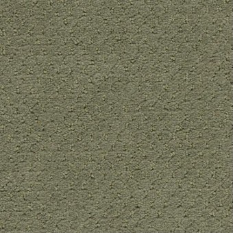 Solid - Verde