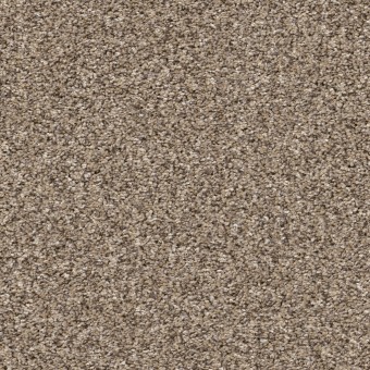 Rhapsody I 12\' - Sea Shell
