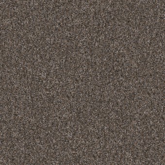 Rhapsody I 12\' - Caf? Noir