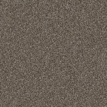 Rhapsody I 12\' - Urban Rustic