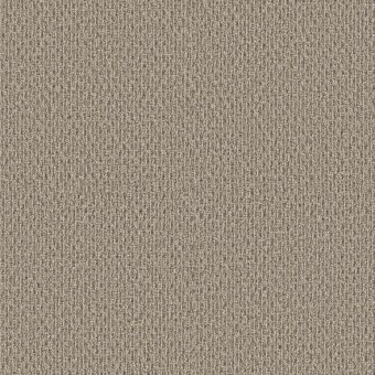 Mount Olympus - Basketry