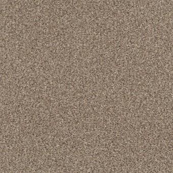 Refined Chic - Sea Shell