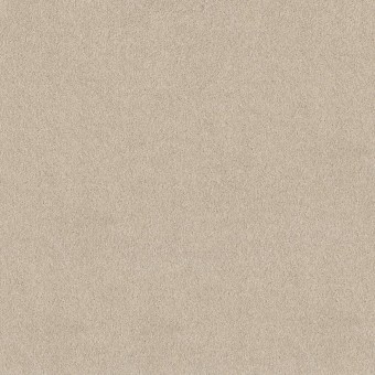 Pure Affection T - Dune View