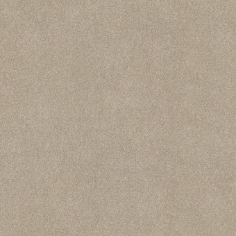 Masterpiece II - Practical Beige