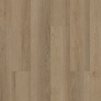 Alba Reserve 20 - Ohlone Oak