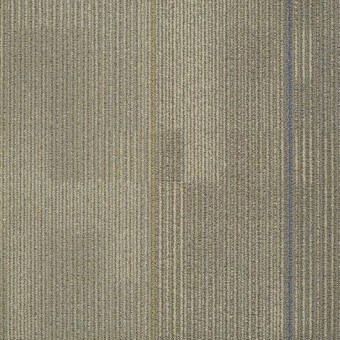 Tempt Carpet Tile - Appeal