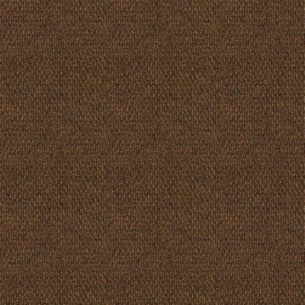 Welcome II Carpet Tile - Tobacco