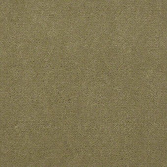 Town Hall 30 - French Olive