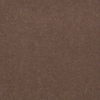 Town Hall 30 - Malt