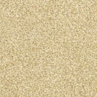 Dawn\'s Delight - Butterscotch