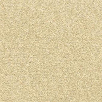 Dawn\'s Delight - Tawny