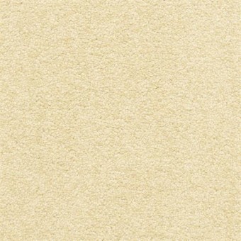 Dawn\'s Delight - Fennel Seed