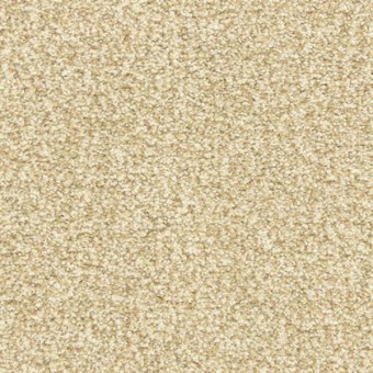 Dawn\'s Delight - Temptation