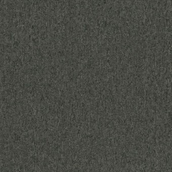 Unite 26 Broadloom - Charcoal