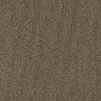 Unite 20 Broadloom - Praline