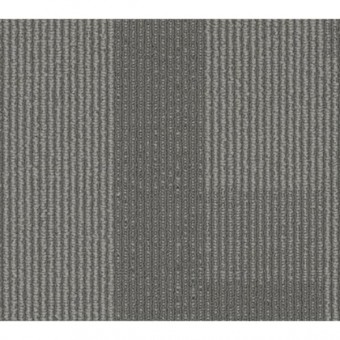 Amplify Plank - 3171