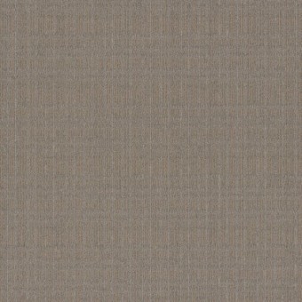 Oasis Broadloom - Sahara