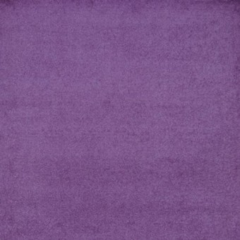 Endurance - Purple