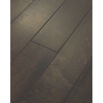 Ellison Maple - Majestic Prince