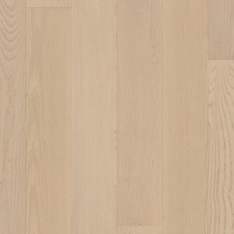 European Ash - Plaza