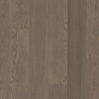 European Ash - Riviera