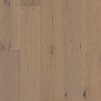 Chateau Oak - Parlor