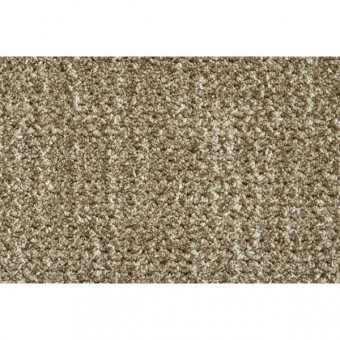 Auburn - Taupe