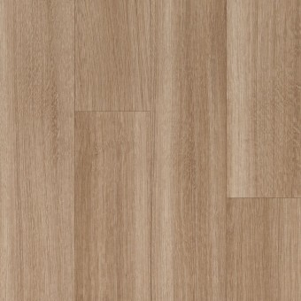 CushionStep Better Sherman Oak - Gilded Glow