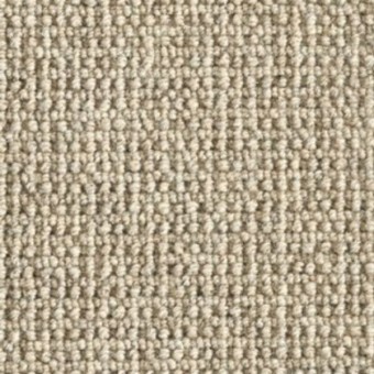 Barrier - Dakota Tan