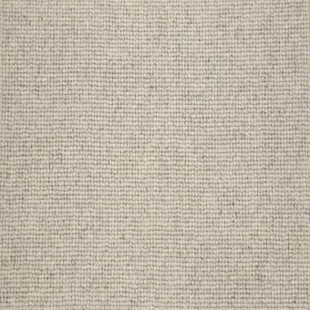 Brewer - Canvas