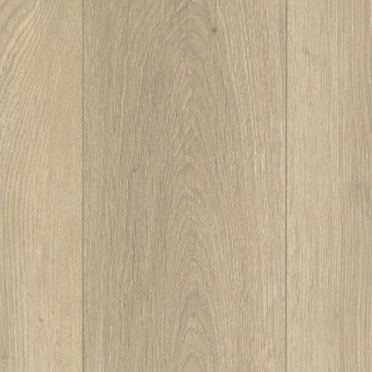 Boardwalk Collective - Sail Cloth