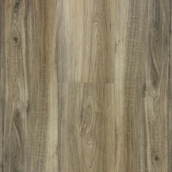 Pelican Point - Gluedown LVP - Premium Oak