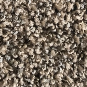 Rave - Apartment Grade Carpet - Fawn From Showcase Collection