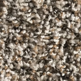 Rave - Apartment Grade Carpet - Parchment From Showcase Collection