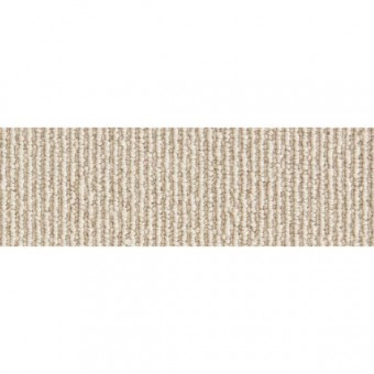 Cherokee - Oyster