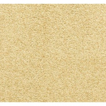 Katie\'s Comfort - Camelite