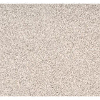 Dixie Home Marquette 23916Expre 12x8 feet Premium Nylon Carpet Remnant