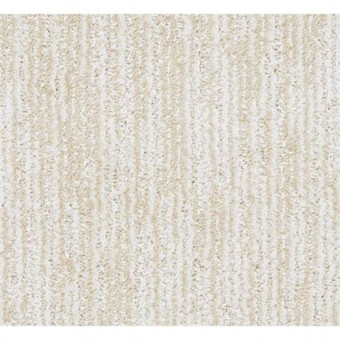 Colter Bay - River Sand