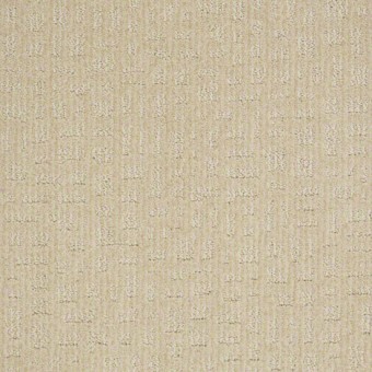 Instant Impact - Winter White