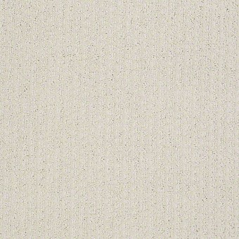Pacific Trails - Canvas