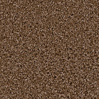 Top Star - Black Walnut