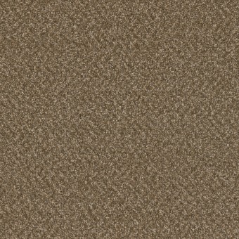 Airwaves Plus - Mocha Beige