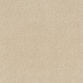 Origins II - Winter White