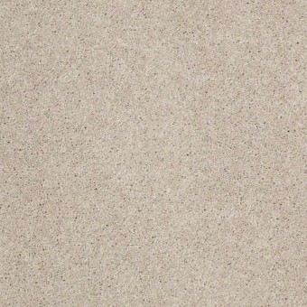 Origins II - Fossil From Shaw Carpet