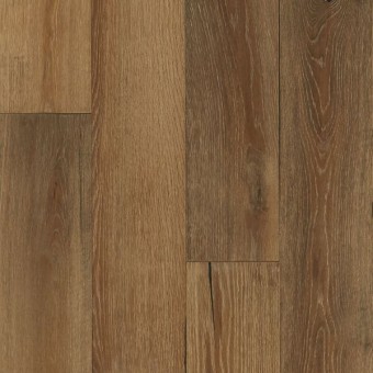 Timberbrushed Gold - Golden Timber