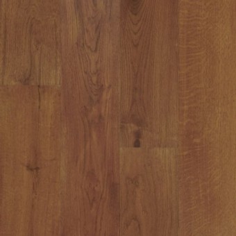 Timberbrushed Gold - Harvest Spice