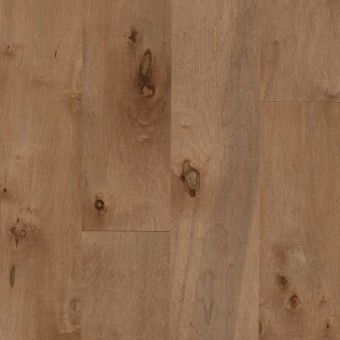 Early Canterbury - Tudor Tan