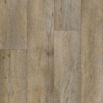 Divinity - Wool Oak